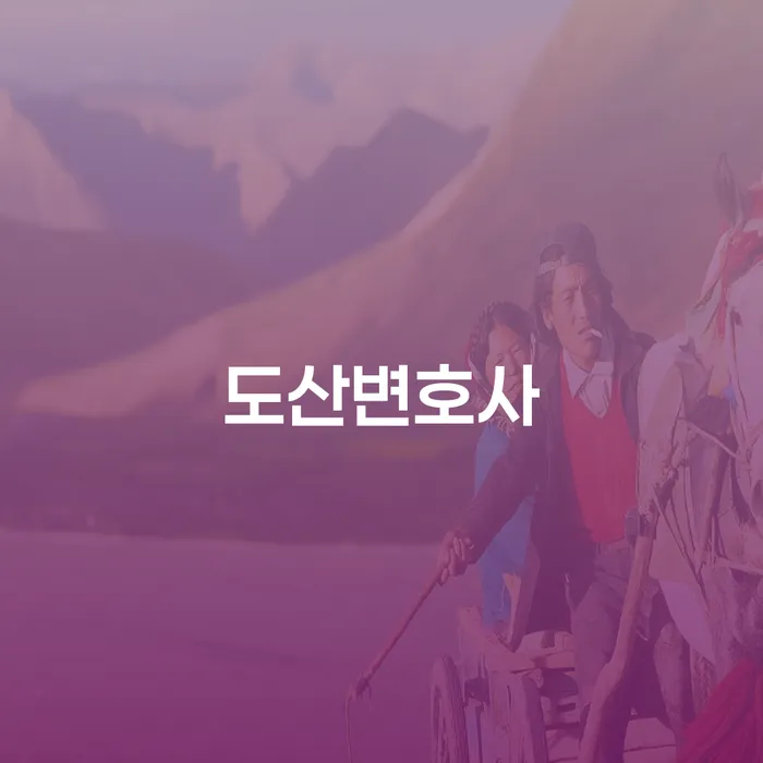 파산관재인 채무조정제도을 이용하여 사례확인하고