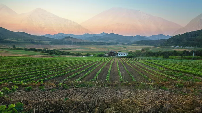 개인회생폐지후
