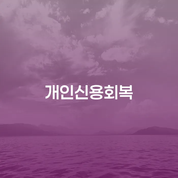 개인회생전문변호사 개인회생 제도 정해지는
