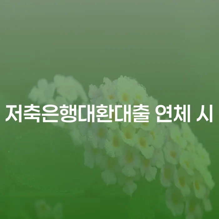 고금리전환대출 연체 시 개인회생 처리방법 무료로 확인하는 방법