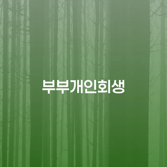 하동군 개인회생준비 개인회생으로 해결방법 정보알아보기