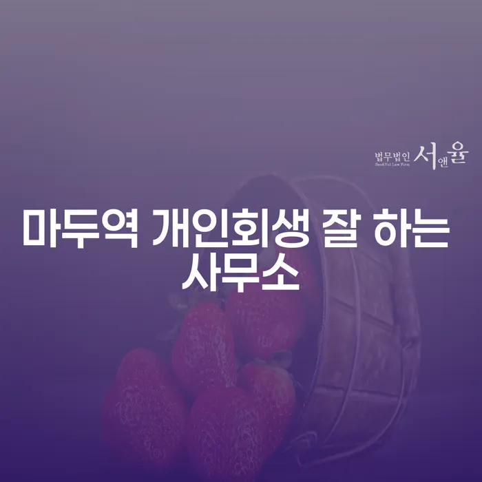 마두역 개인회생 잘 하는 사무소