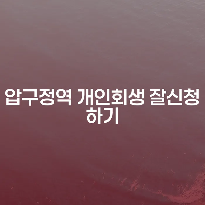 압구정역 개인회생 잘신청하기