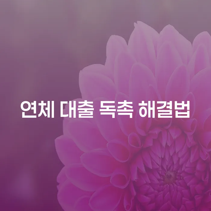 연체 대출 독촉 해결법, 어떻게 접근해야 할까요?