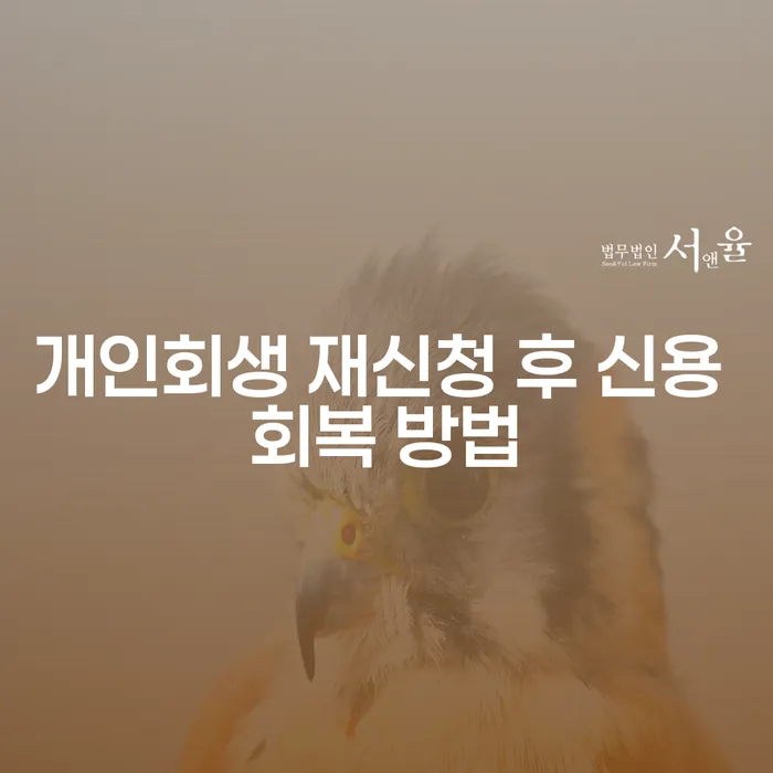 개인회생 재신청 후 신용 회복 방법은 무엇일까요?